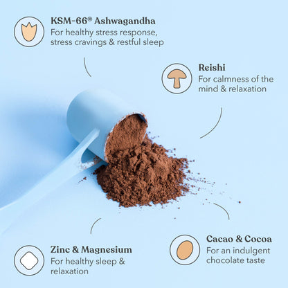 Hot Chocolate - Moodi - Functional PM Blend