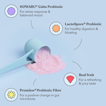 Pre + Probiotic Blends - Moodi - Ingredients